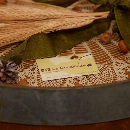 B&B Le Coccinelle Torre Bormida Dış mekan fotoğraf