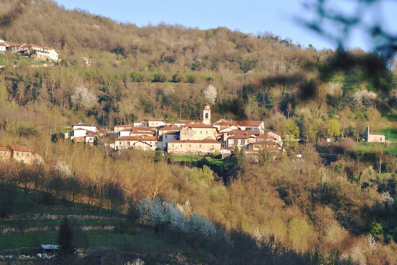 B&B Le Coccinelle Torre Bormida Dış mekan fotoğraf
